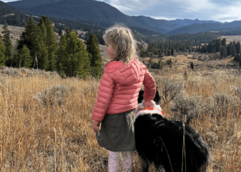 Letter to the Editor: Protecting our wild spaces means advocating for them, together